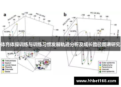 体育体操训练与训练习惯发展轨迹分析及成长路径图谱研究